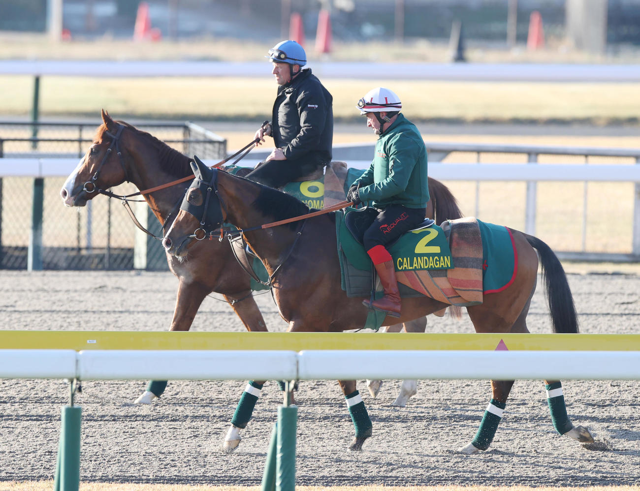 ダートコースで調整したカランダガン（手前）は帯同馬ルノマドと引き揚げる（撮影・柴田隆二）