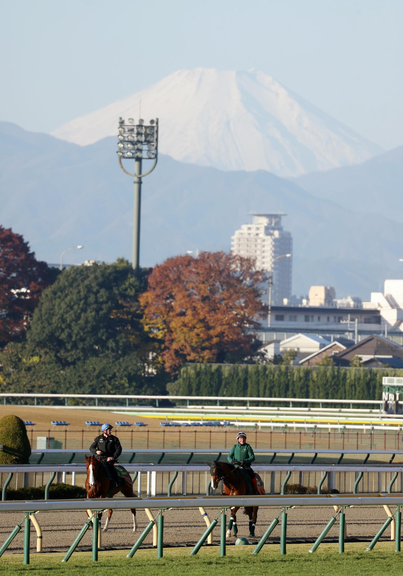 富士山をバックにカランダガン（右）は帯同馬ルノマドと引き揚げる（撮影・柴田隆二）