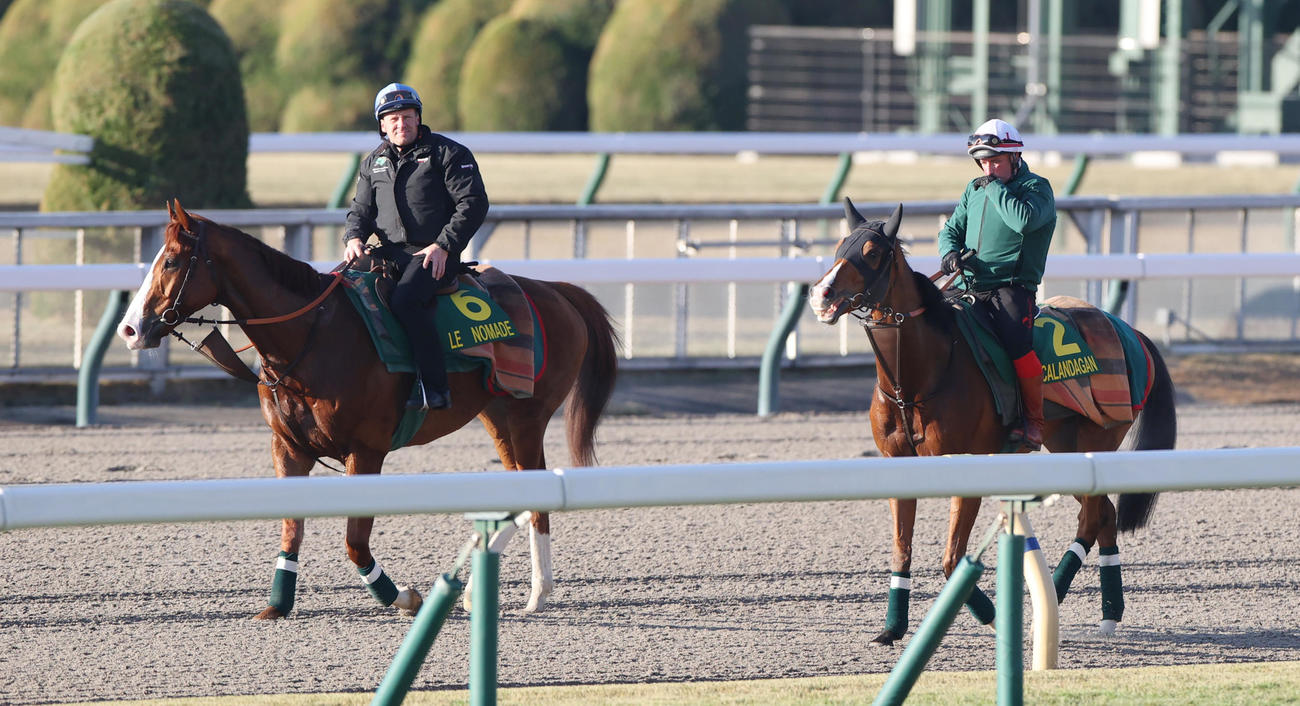 ダートコースで調整したカランダガン（右）は帯同馬ルノマドと引き揚げる（撮影・柴田隆二）