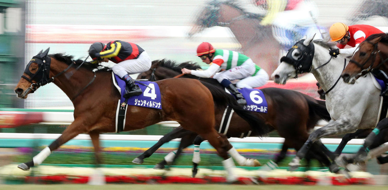 有馬記念を制したジェンティルドンナ（2014年12月28日撮影）