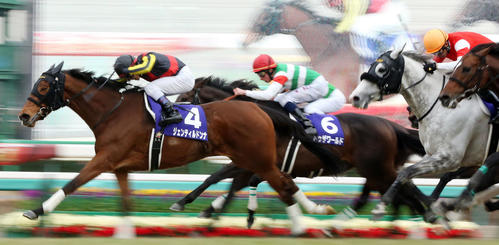 G1・7勝の3冠牝馬ジェンティルドンナ死す 史上初のJC連覇 年度代表馬