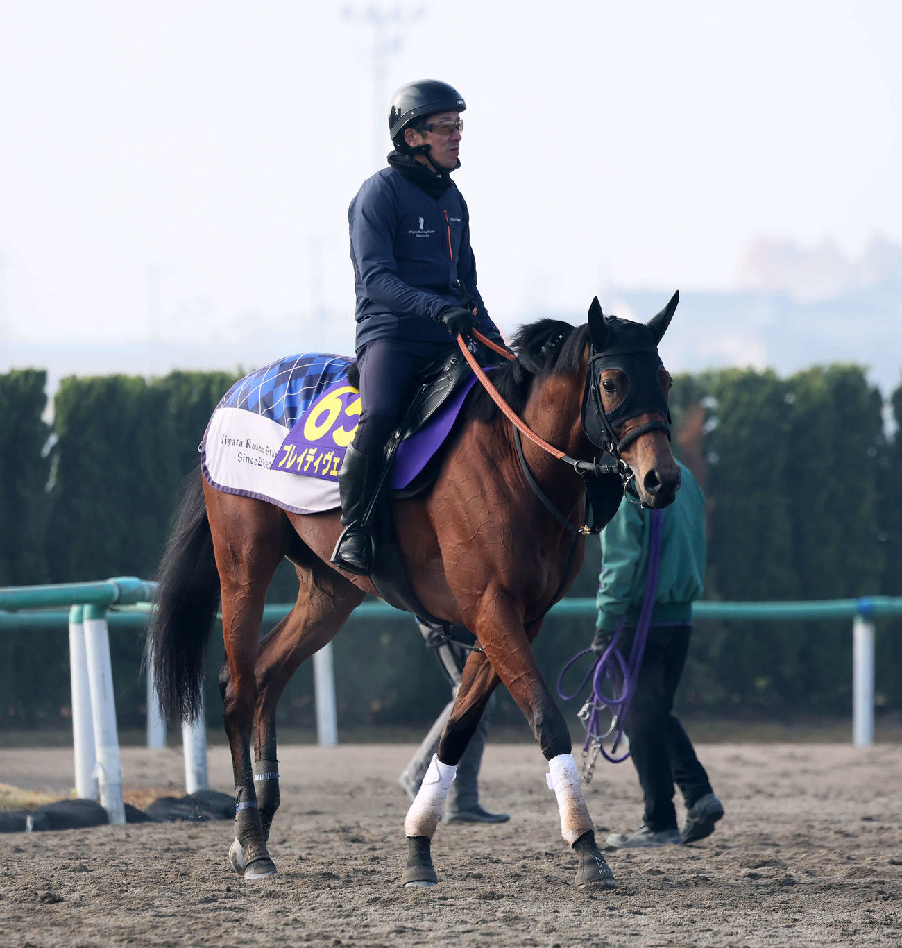 追い切りを終えて馬場を出るブレイディヴェーグ（撮影・丹羽敏通）