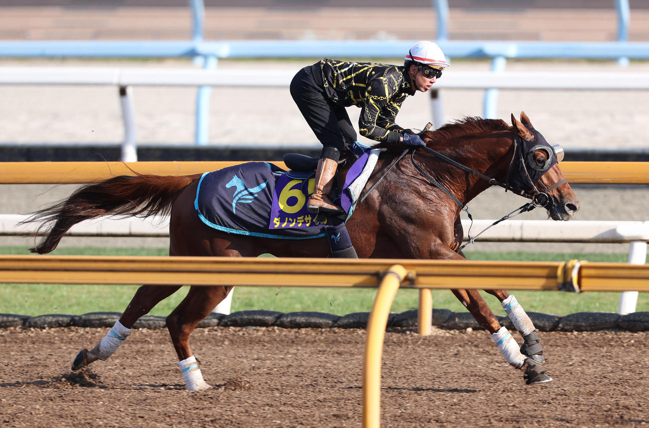 Cウッドを併せ馬で追い切るダノンデサイル（撮影・白石智彦）