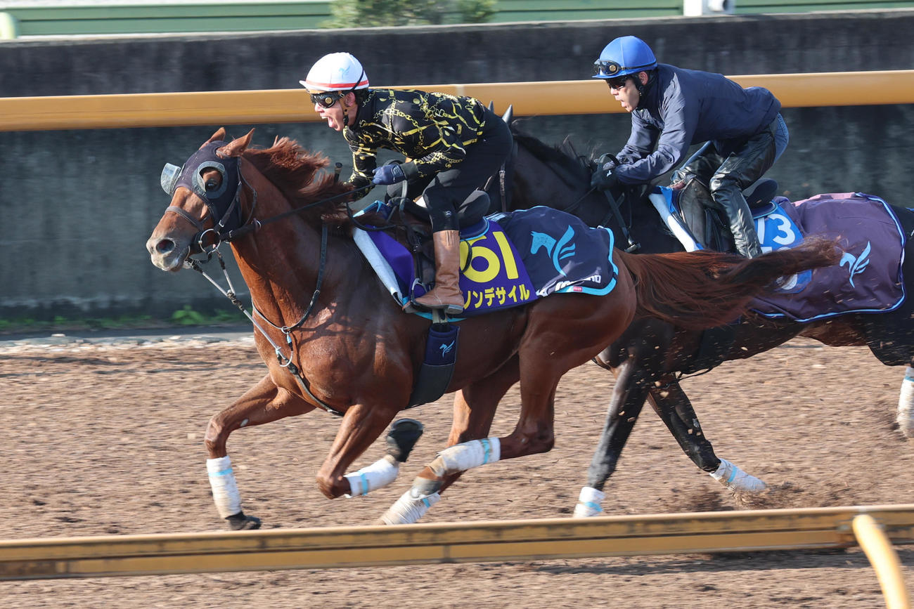 安田翔伍調教師が騎乗し、併せ馬に先着するダノンデサイル（左）。　（右はダノンブギ）