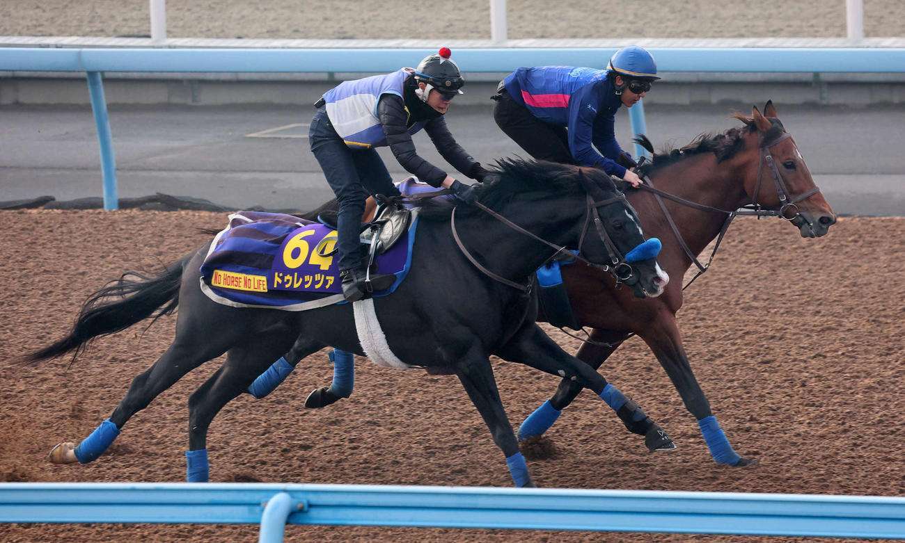 ドゥレッツァ（手前）は美浦ウッドでクロミナンスと併せて追い切られた（撮影・丹羽敏通）