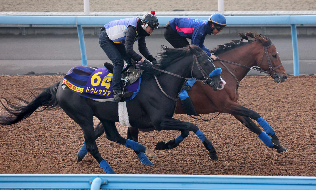 ドゥレッツァ（手前）は美浦ウッドでクロミナンスと併せて追い切られた（撮影・丹羽敏通）