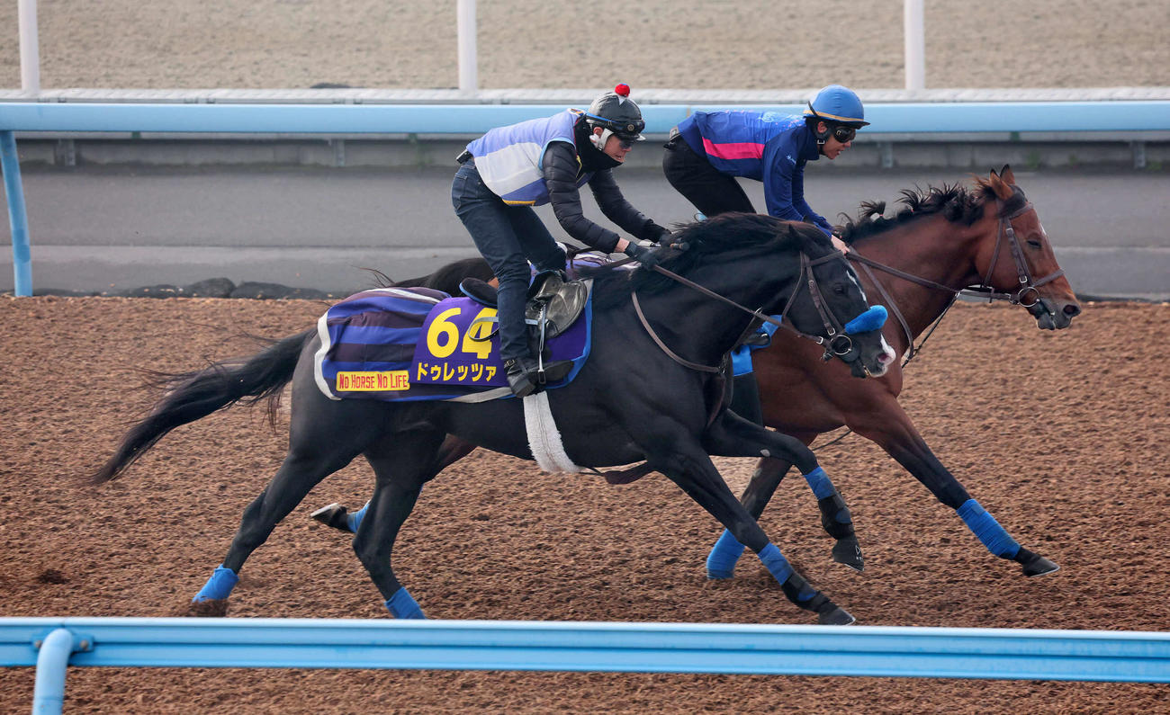 ドゥレッツァ（手前）は美浦ウッドでクロミナンスと併せて追い切られた（撮影・丹羽敏通）