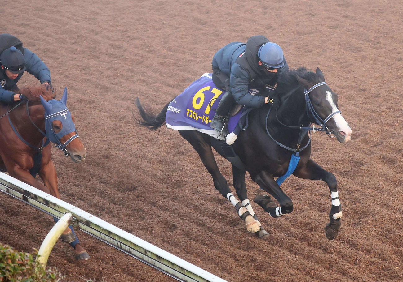 マスカレードボール（右）は嶋田騎手を背に霧のかかる美浦坂路で僚馬を突き放した（撮影・丹羽敏通）