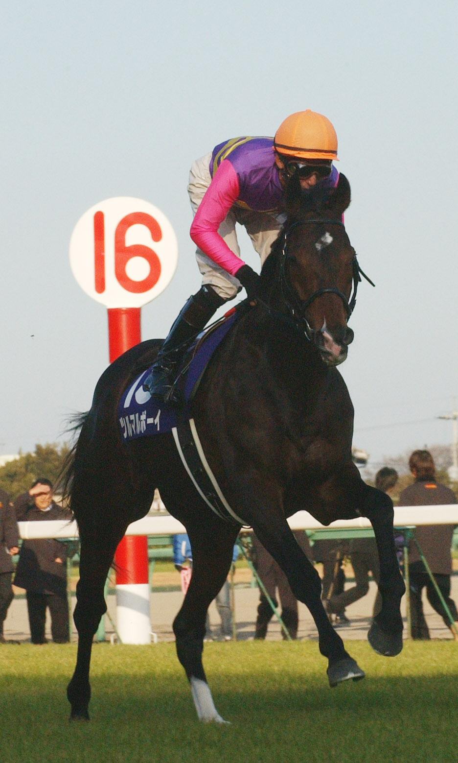 04年、有馬記念に出走したツルマルボーイ
