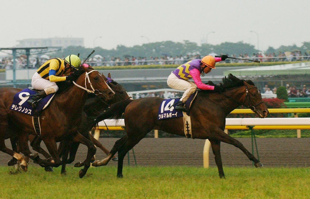 ツルマルボーイがテレグノシスの追い込みをクビ差抑え安田記念を制した（2004年6月6日撮影）
