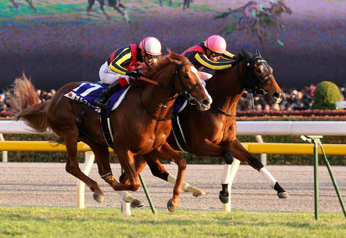 3冠牝馬が死去」「天国へ旅立ちました」日本の名牝ジェンティルドンナ