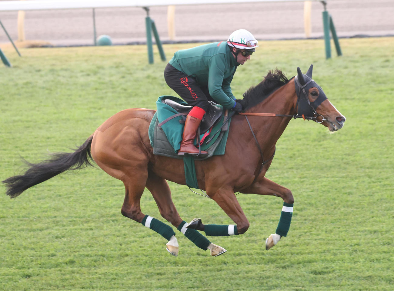 芝コースで追い切りするカランダガン（撮影・柴田隆二）