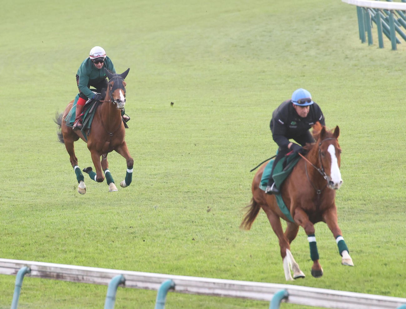 芝コースで追い切りするカランダガン（左）と帯同馬ルノマド（撮影・柴田隆二）