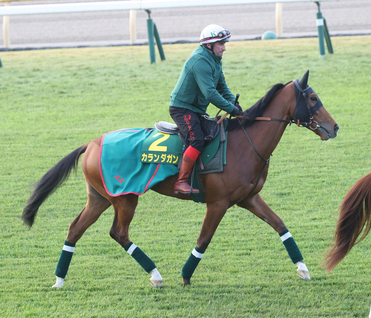 芝コースで追い切りに向かうカランダガン（撮影・柴田隆二）