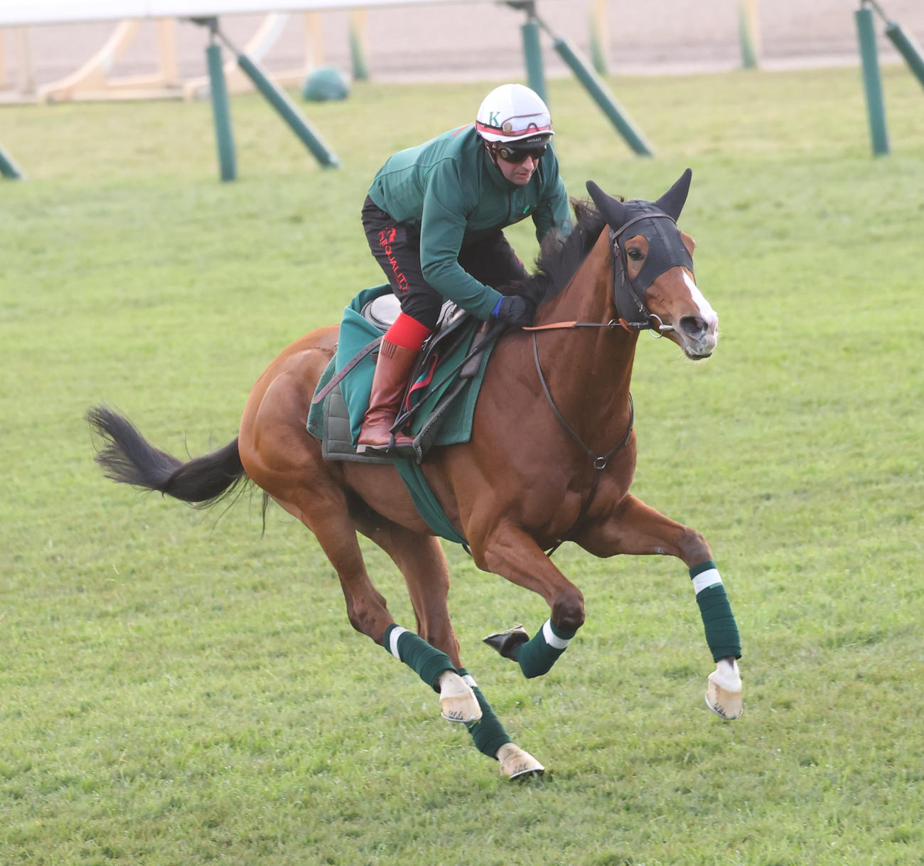 芝コースで追い切りするカランダガン（撮影・柴田隆二）