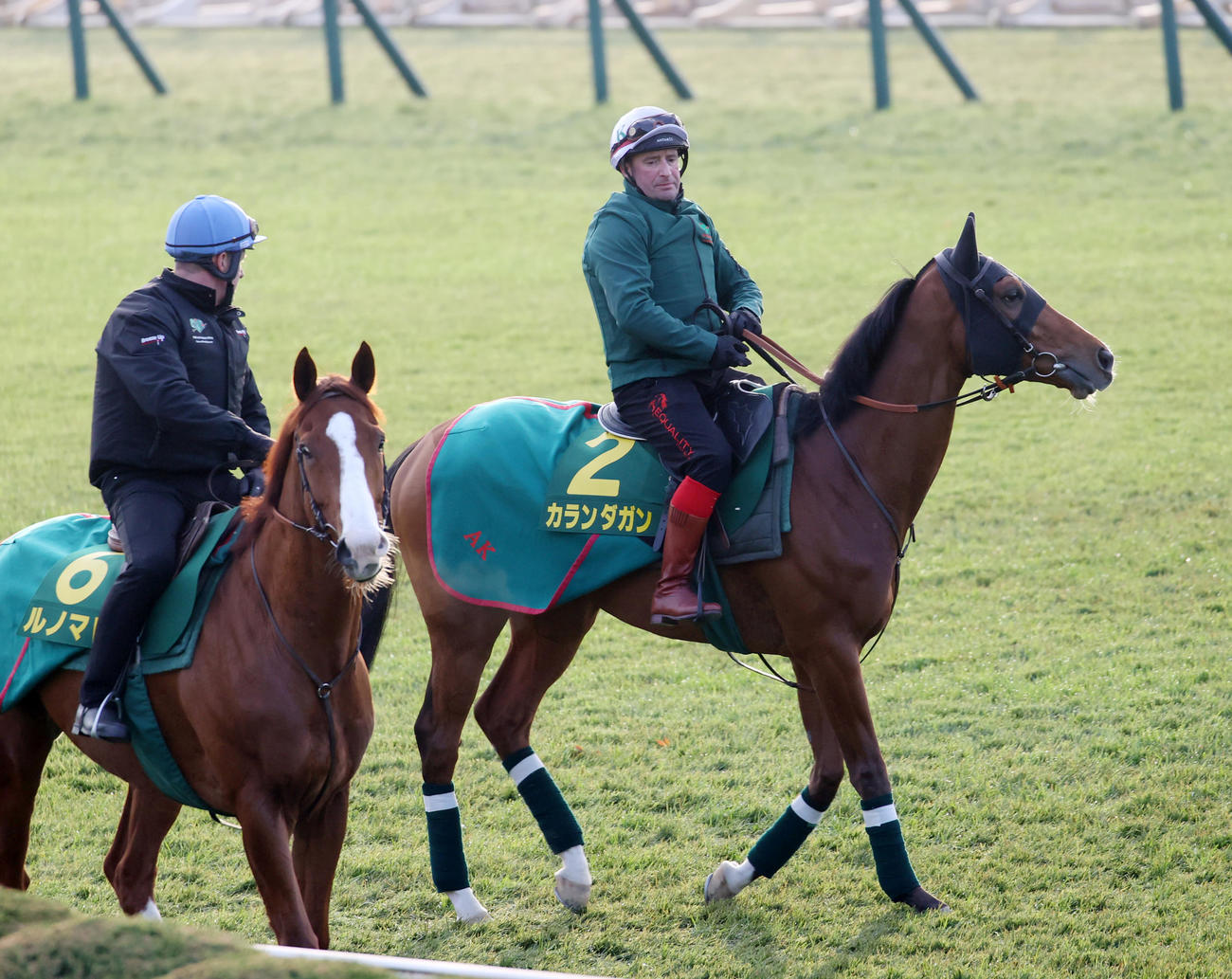 芝コースで追い切りに向かうカランダガン（右）と帯同馬ルノマド（撮影・柴田隆二）