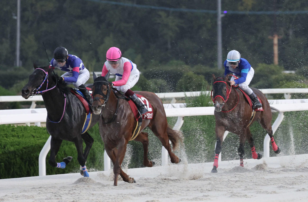 兵庫ジュニアグランプリは鮫島駿騎手のトウカイマシェリ（中）が差し切って制した（撮影・西尾就之）