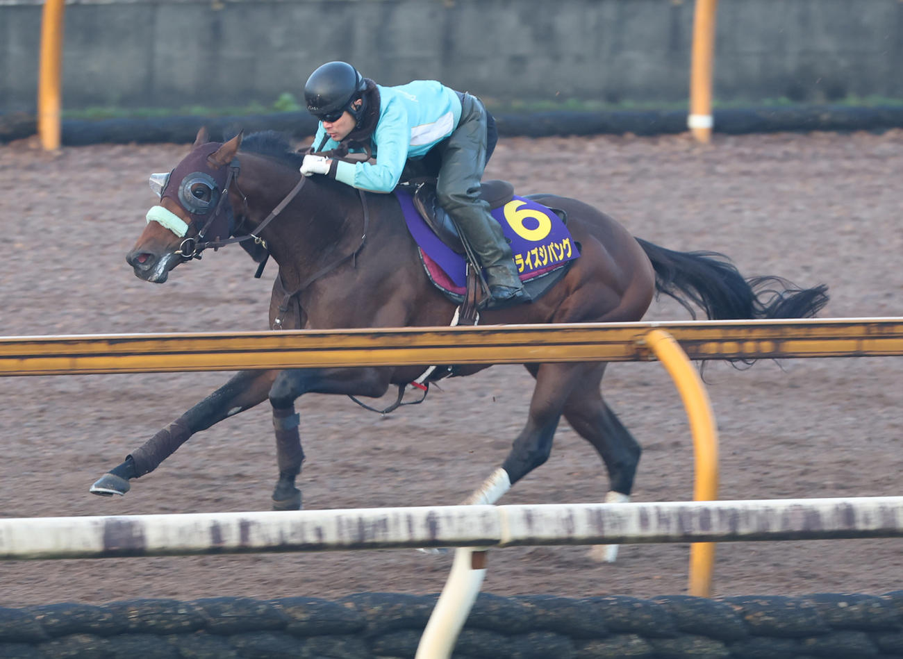 Cウッドコースにて3頭併せで追い切るサンライズジパング