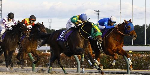 チャンピオンズＣを制したレモンポップ＝2024年12月１日