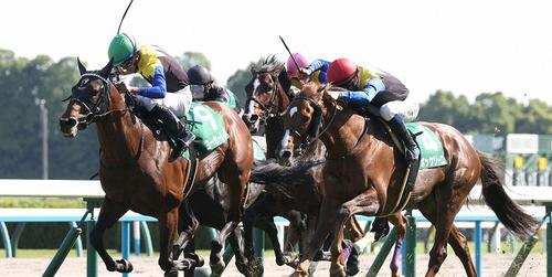 鳴尾記念を制したヨーホーレイク＝2024年6月1日