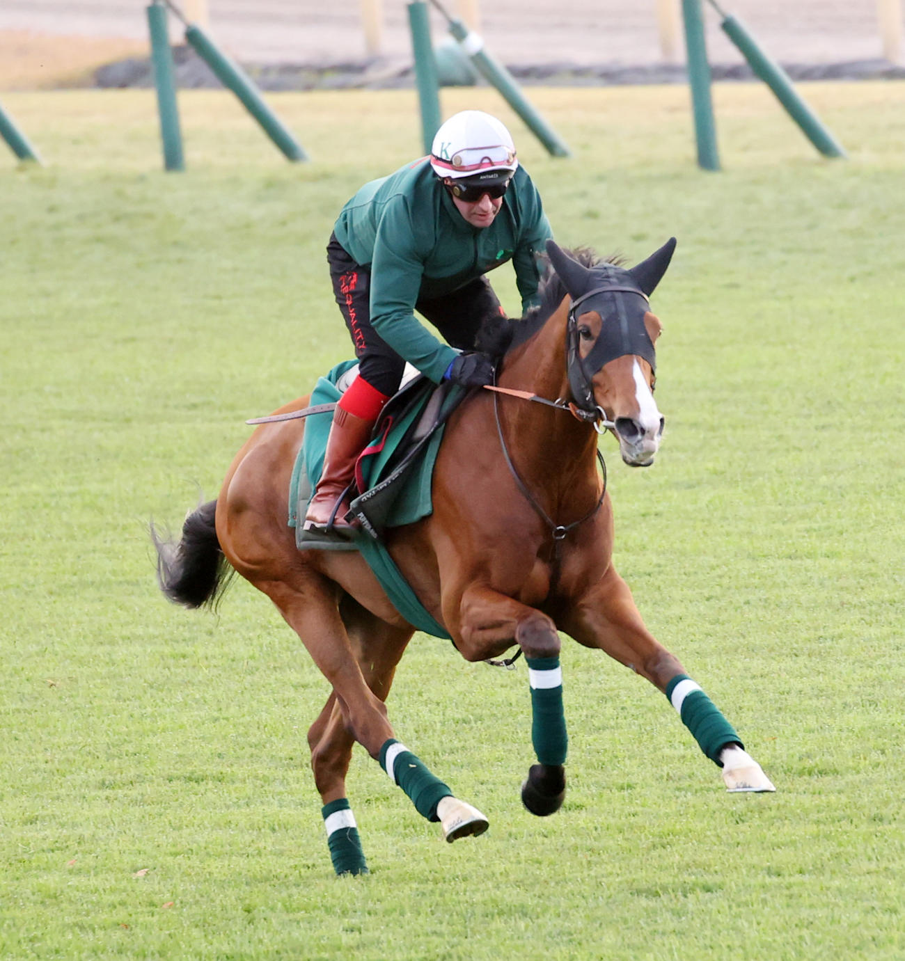 芝コースで追い切りするカランダガン（撮影・柴田隆二）