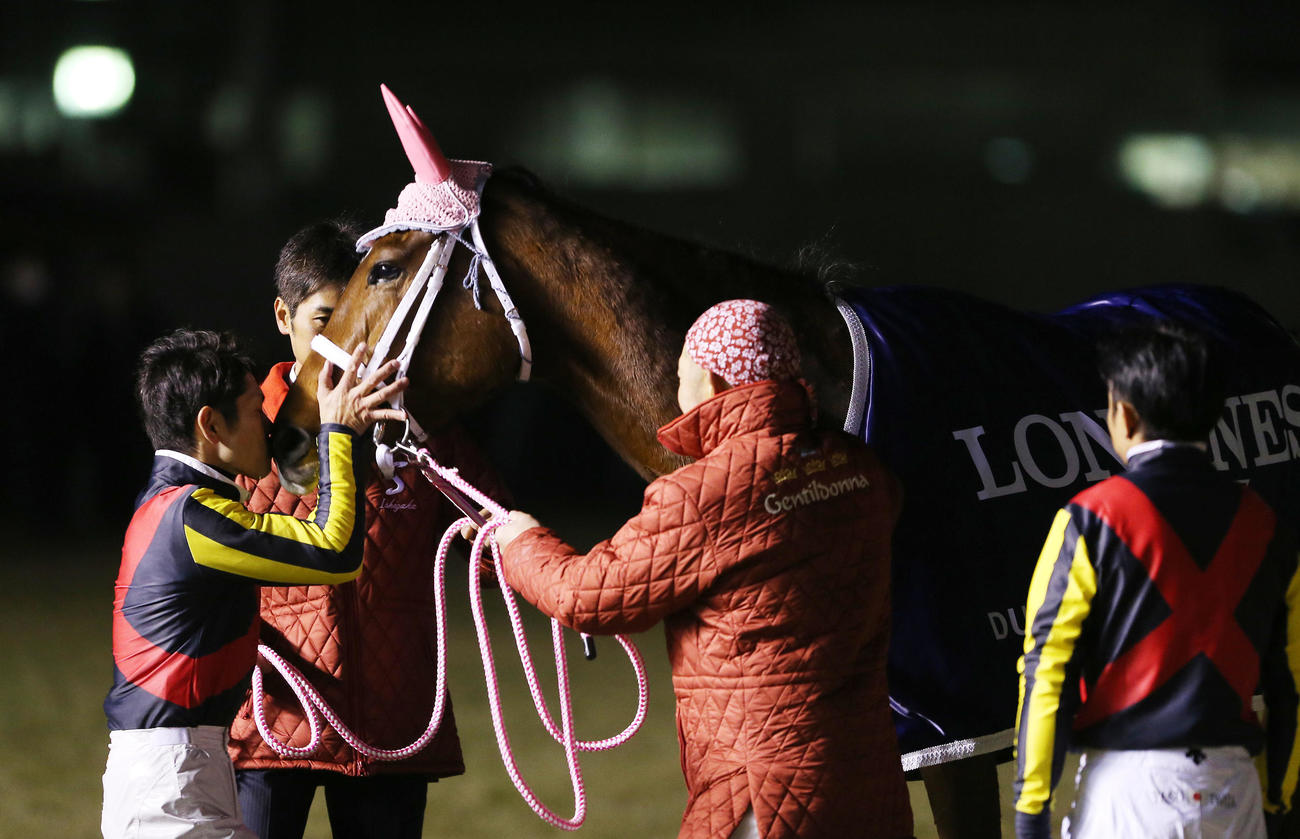 引退セレモニーでジェンティルドンナにキスする戸崎騎手（2014年12月撮影）