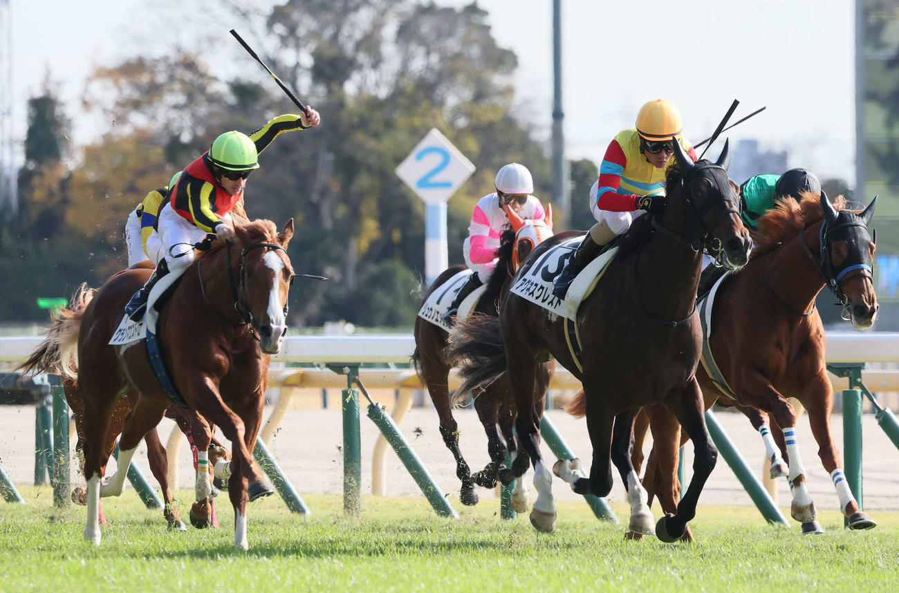 2歳未勝利戦を制したアグネスクレスト（中央）。左は2着グランマエストロ（撮影・丹羽敏通）