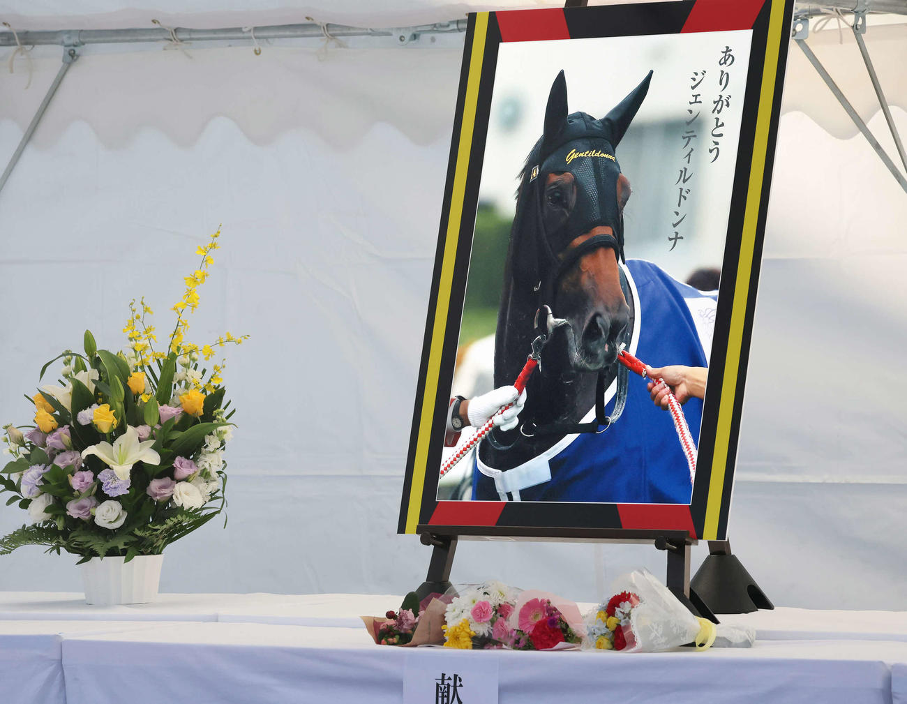 ジェンティルドンナの遺影（撮影・丹羽敏通）