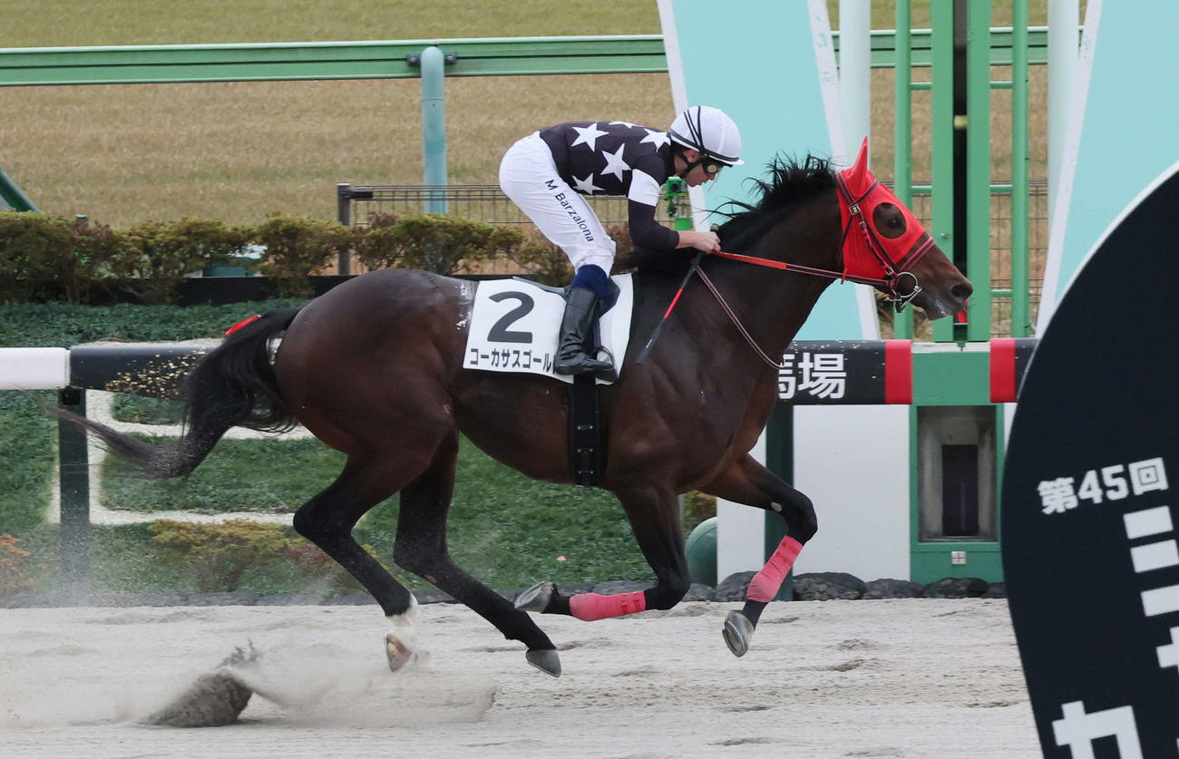 東京6R、3歳上1勝クラスを制したコーカサスゴールドとバルザローナ騎手（撮影・丹羽敏通）