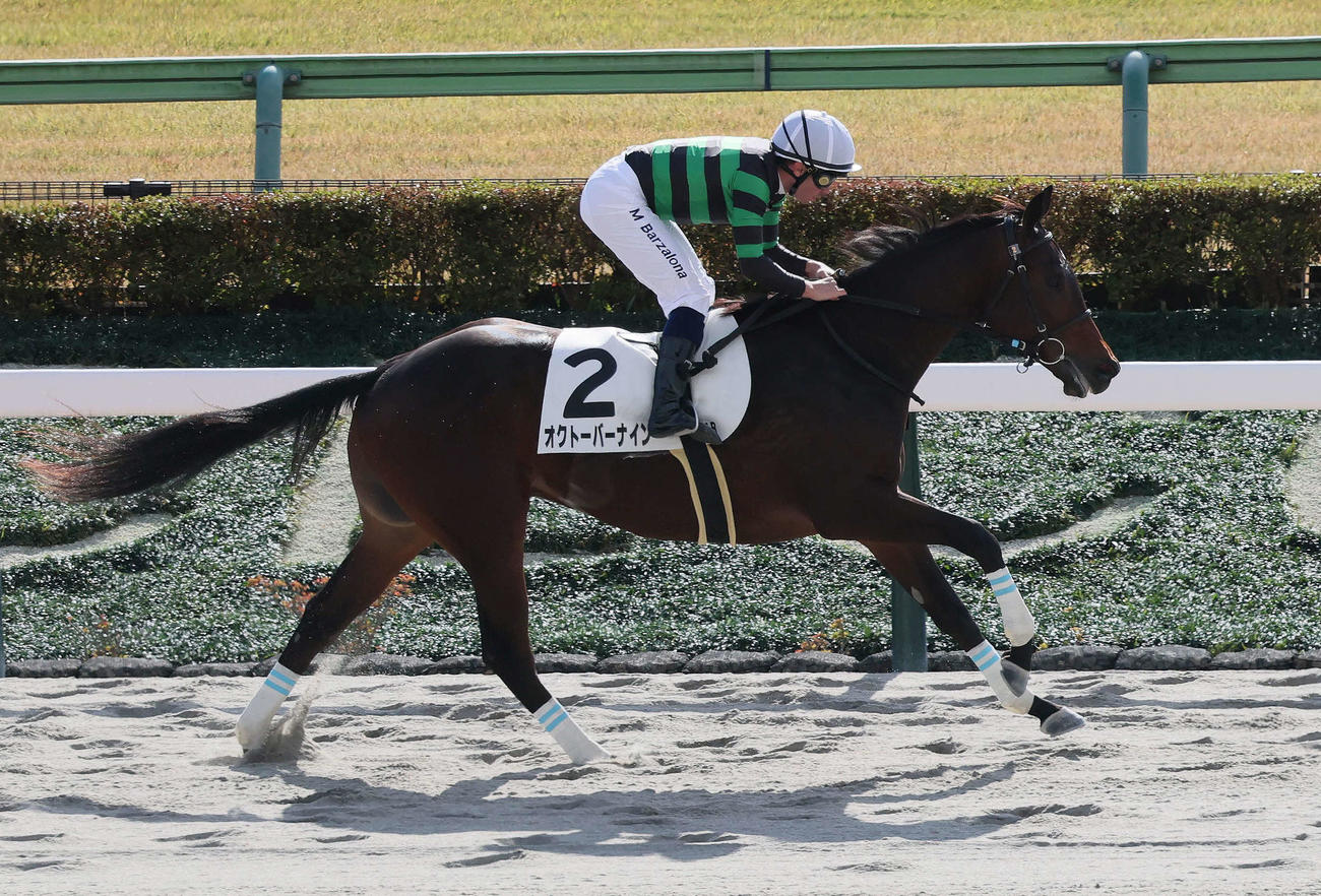 東京4R、2歳新馬戦を制したオクトーバーナインとバルザローナ騎手（撮影・丹羽敏通）