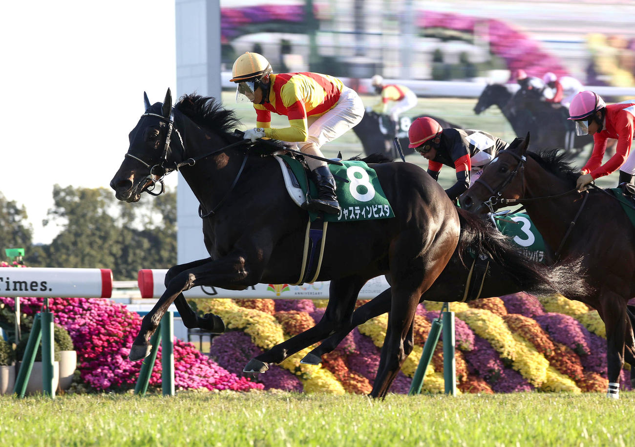直線突き抜けて京都2歳Sを制したジャスティンビスタ（撮影・白石智彦）