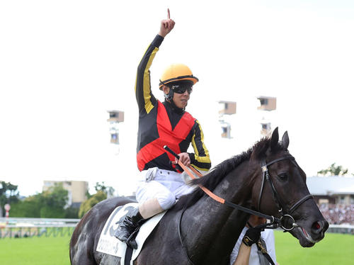 ジャパンC・直前情報】「強い馬はどの枠からでも来る。友一に託します