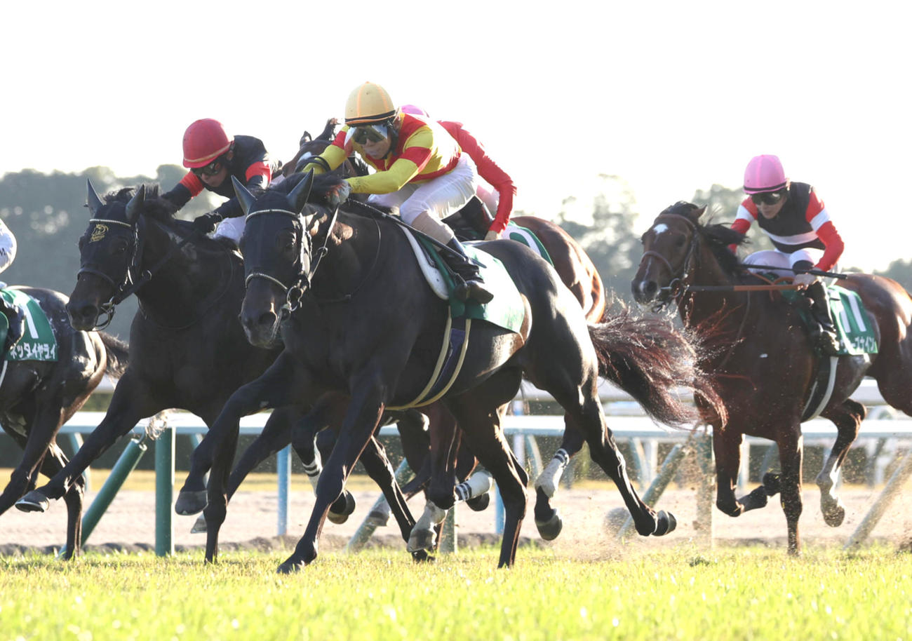 直線突き抜けて京都2歳Sを制したジャスティンビスタ（中央）（撮影・白石智彦）