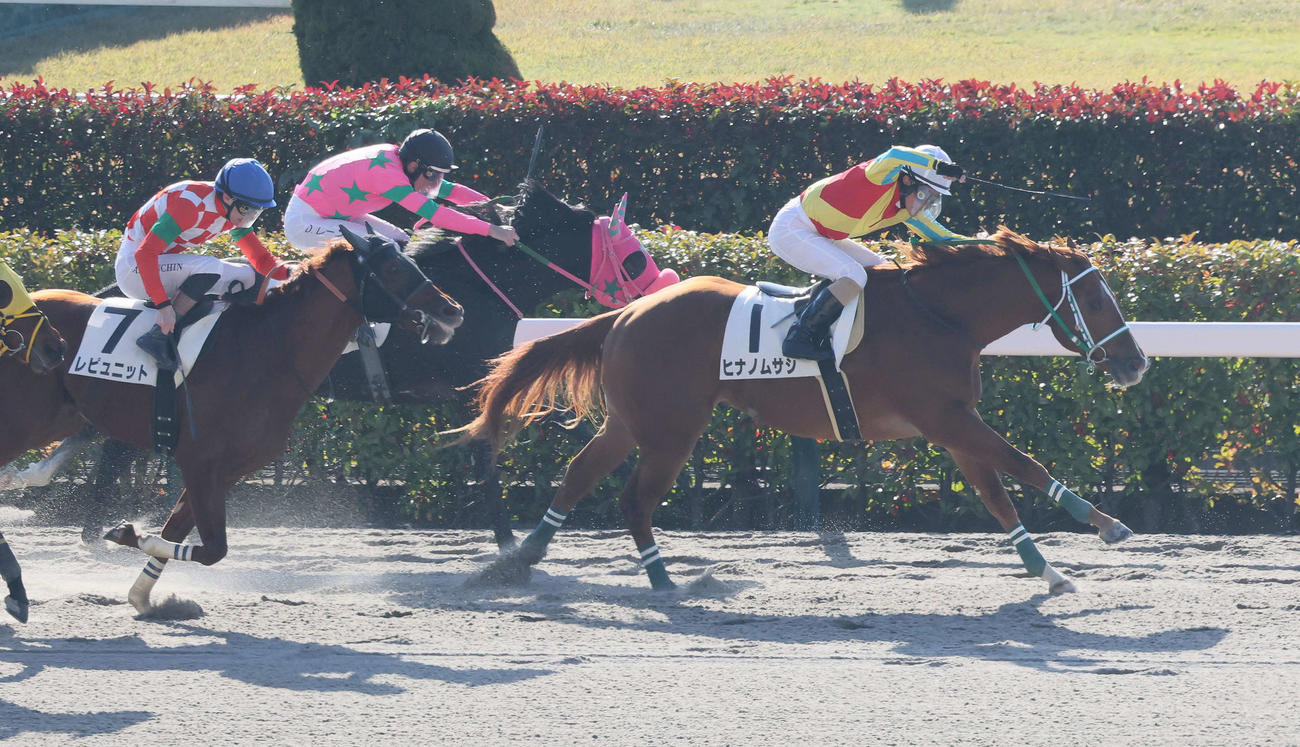 東京1R、2歳未勝利戦を制したヒナノムサシと柴田善騎手（撮影・丹羽敏通）