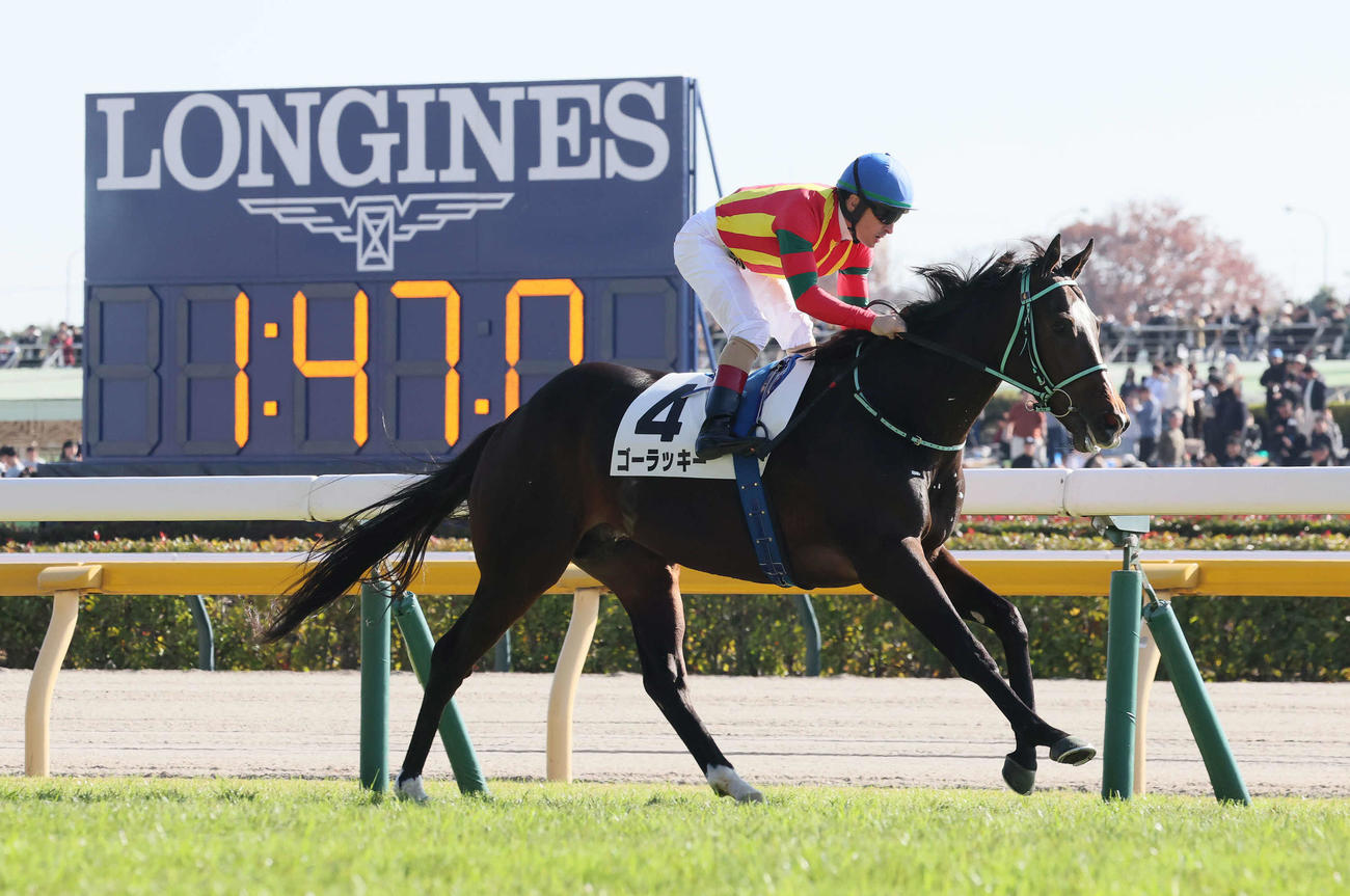 東京6R、2歳新馬戦を逃げ切ったゴーラッキーとルメール騎手（撮影・丹羽敏通）