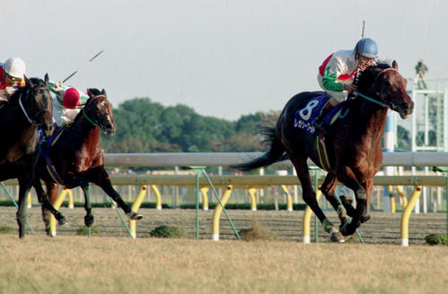 ジャパンC】外国馬20年ぶりV 仏カランダガンがレコード決着制す、鞍