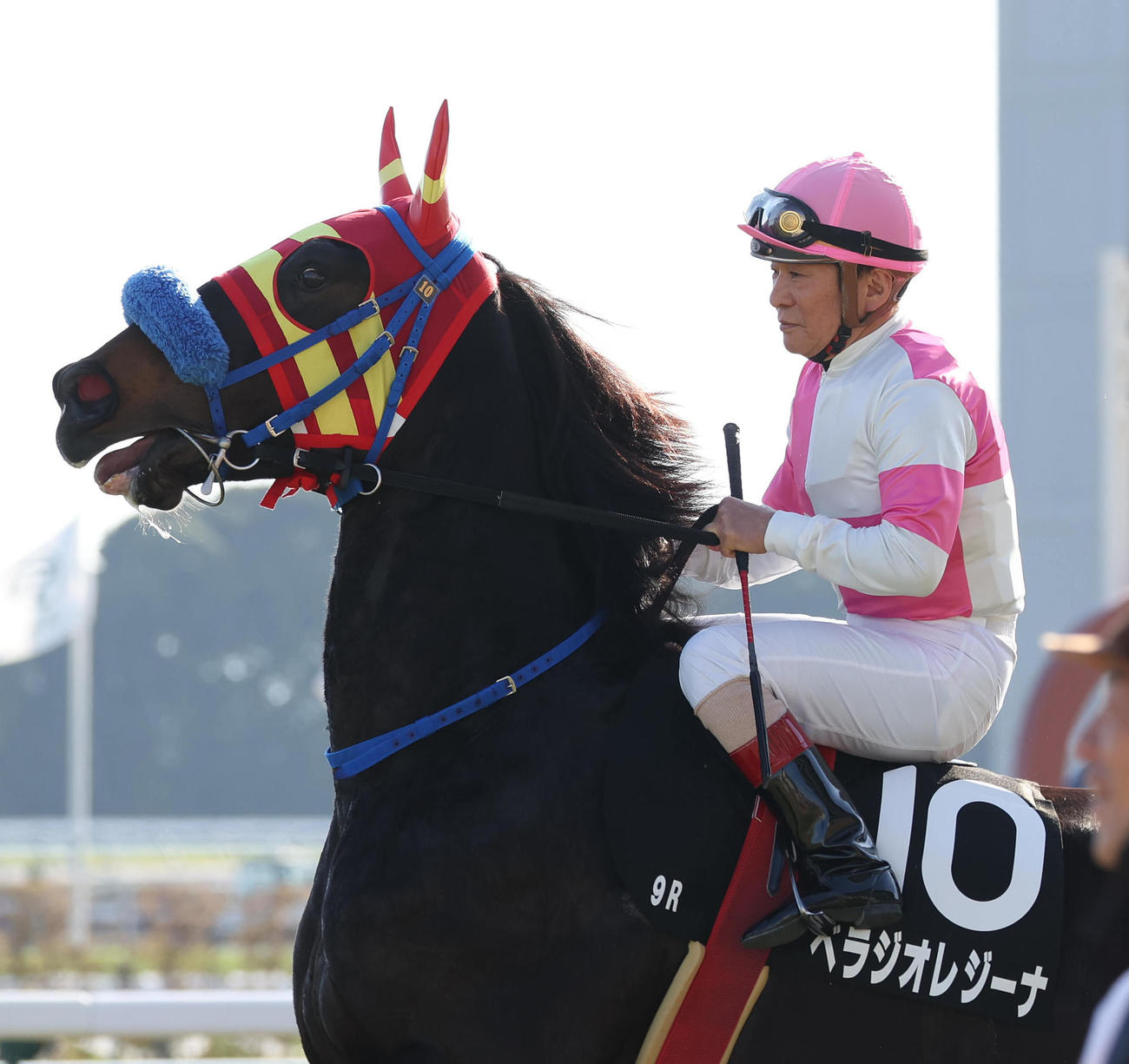 白菊賞、ベラジオアレジーナに騎乗して馬場入りする川原騎手（撮影・白石智彦）