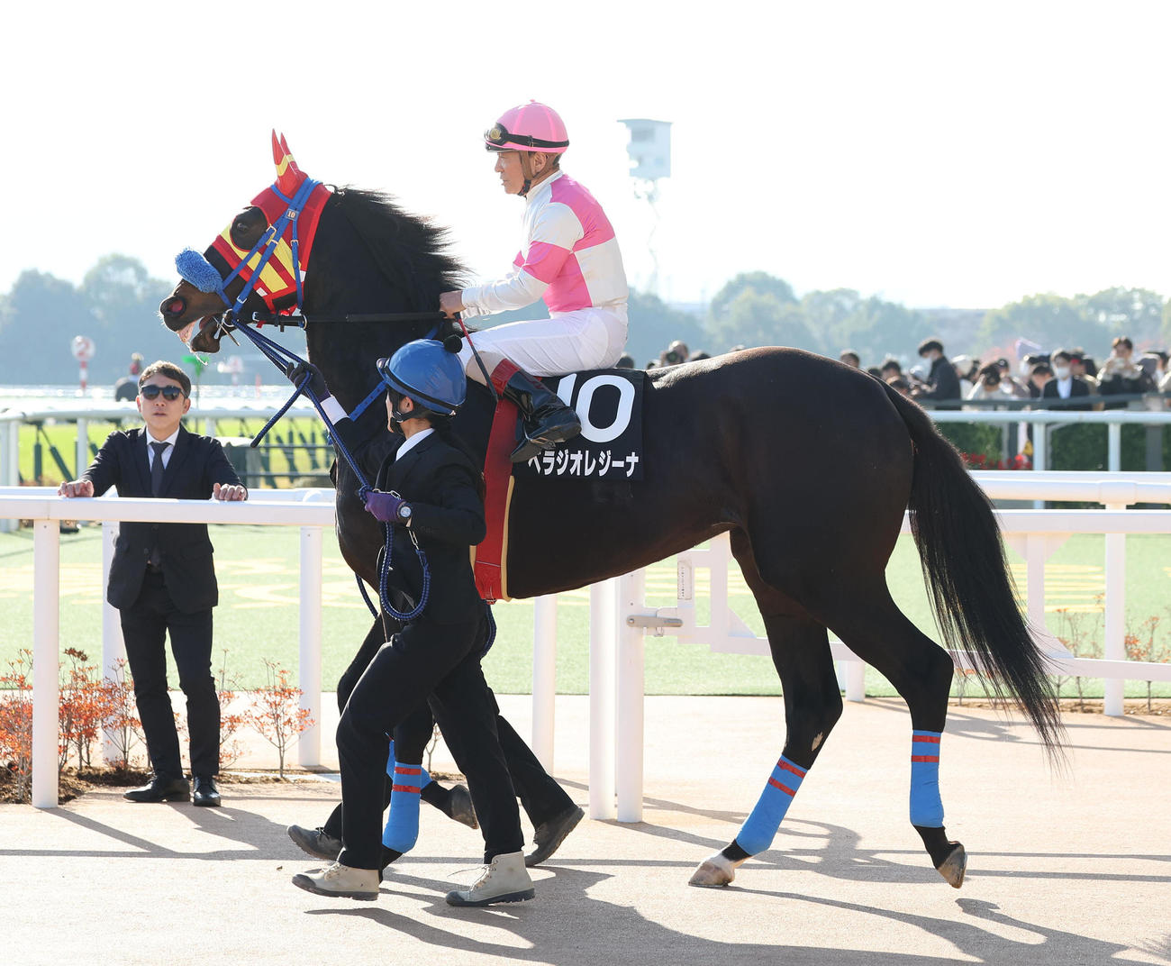 白菊賞、ベラジオアレジーナに騎乗して馬場入りする川原騎手（撮影・白石智彦）