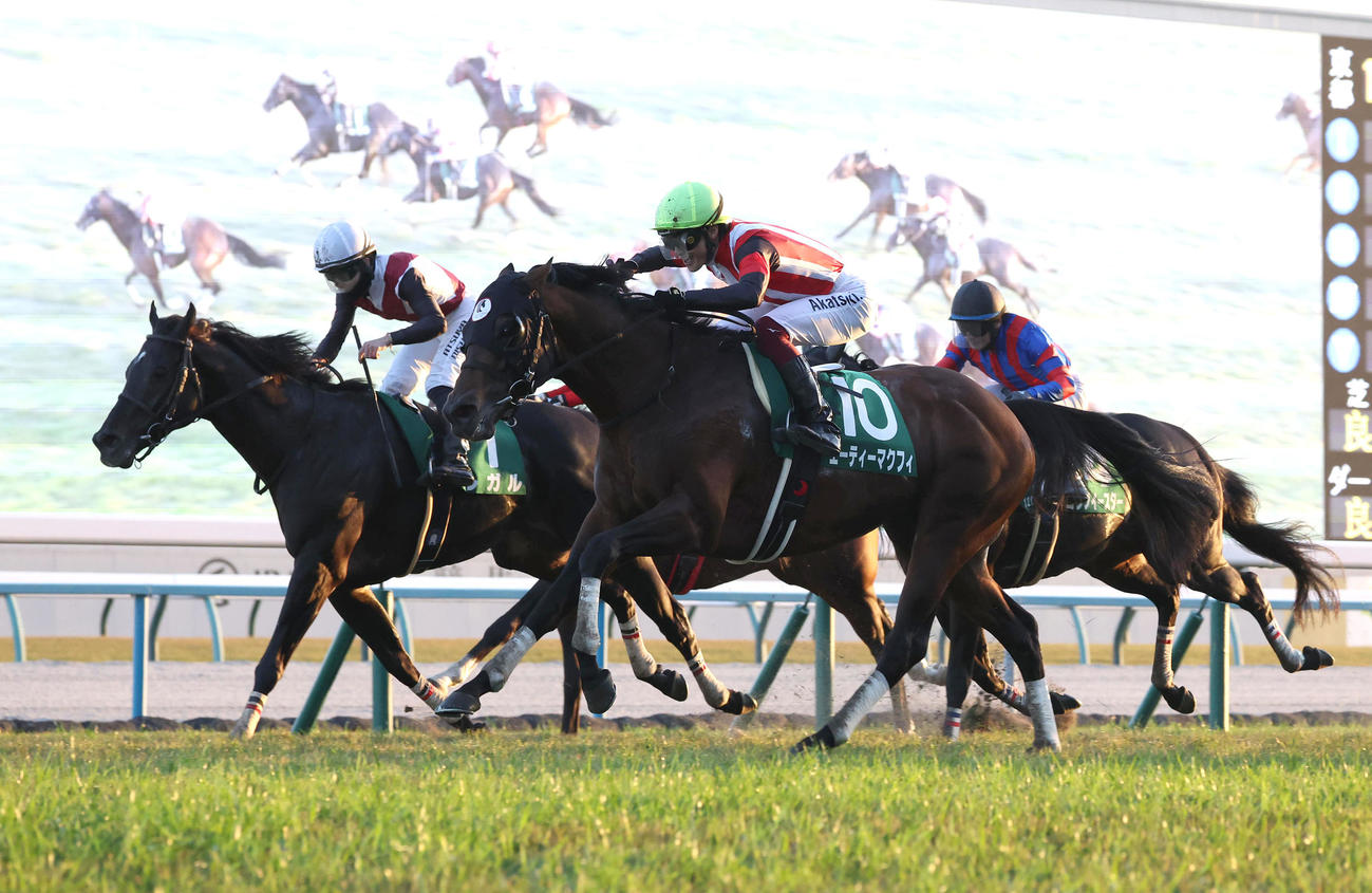 ルガル（左）を差し切って京阪杯を制したエーティーマクフィ（撮影・白石智彦）