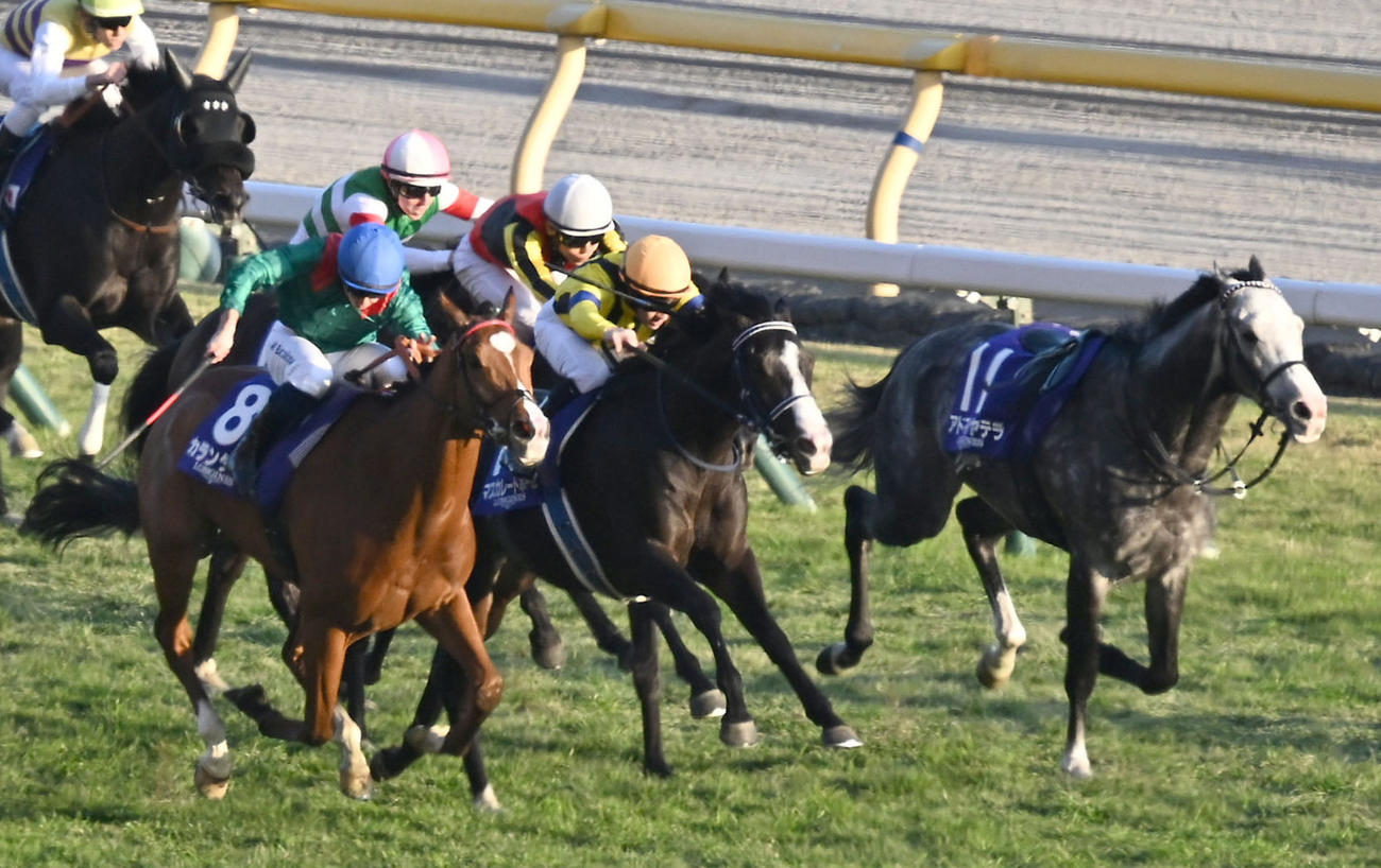 ジャパンC2着に敗れたマスカレードボール（中央）。左は勝ったカランダガン（撮影・千葉一成）