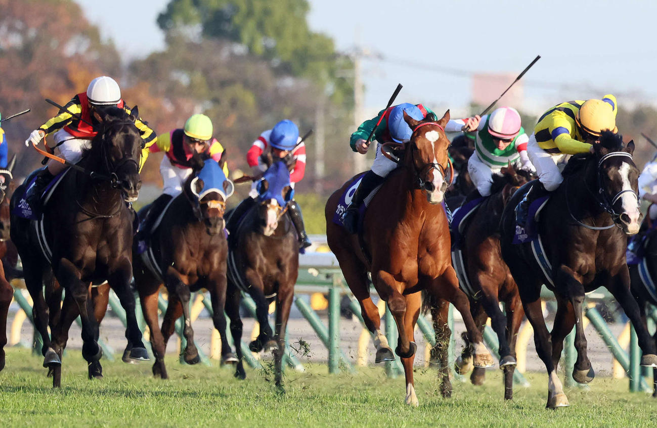 ジャパンC4着に敗れたクロワデュノール（左）。中央は勝ったカランダガン（撮影・丹羽敏通）