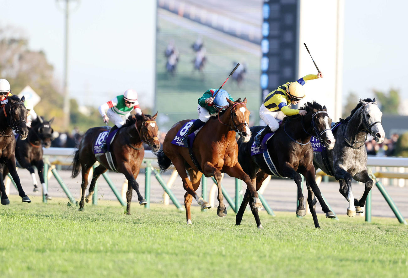 カランダガン（中央）が制したジャパンC（撮影・鈴木正人）