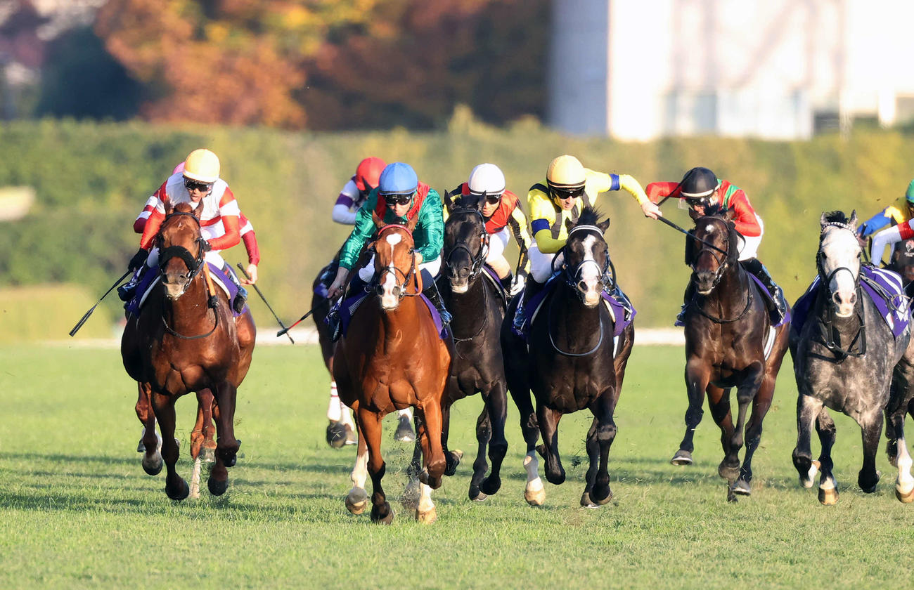 カランダガンが制したジャパンC