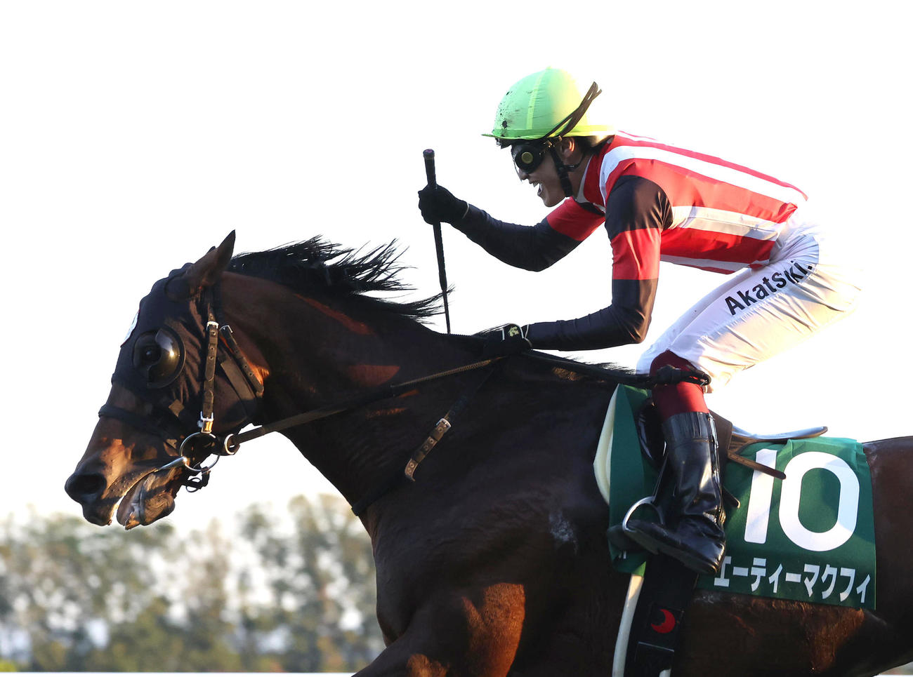 京阪杯を制したエーティーマクフィ。鞍上の富田騎手はガッツポーズを見せる（撮影・白石智彦）