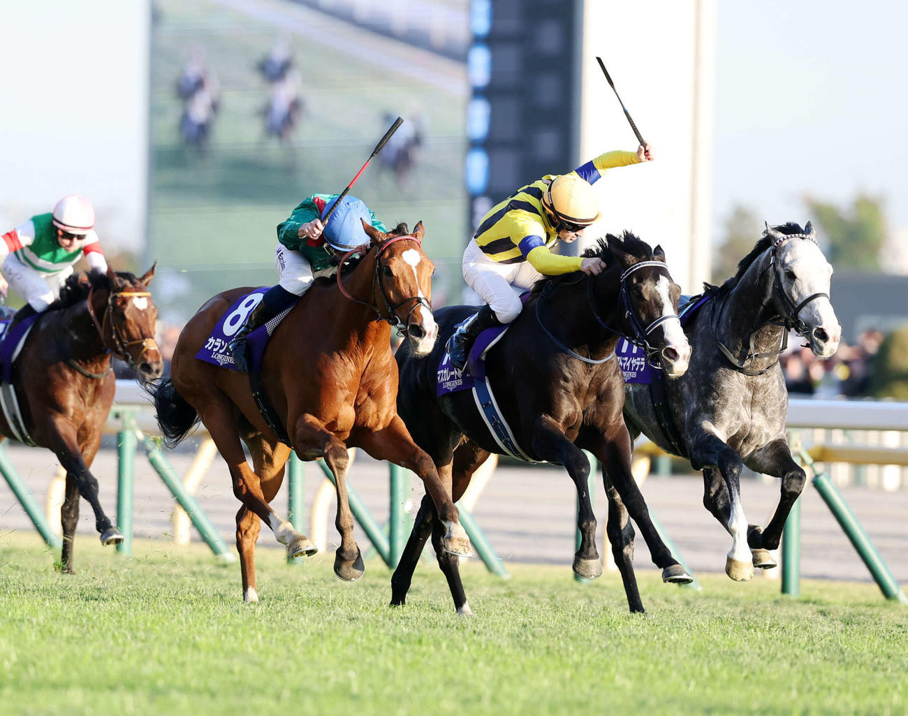 ジャパンC2着に敗れたマスカレードボール（中央）とルメール騎手（撮影・鈴木正人）