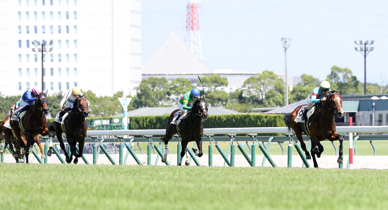 新馬戦を5馬身差で快勝するカヴァレリッツォ（右）
