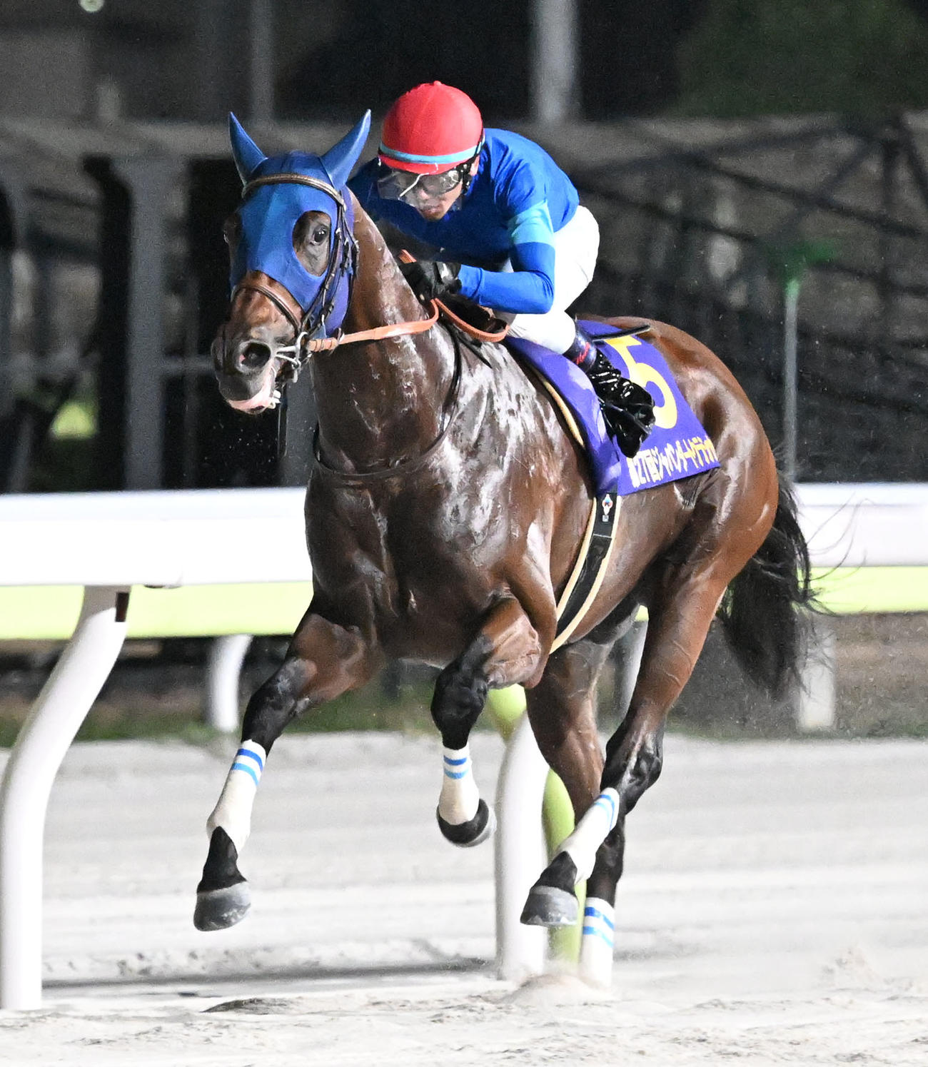 10月8日、第27回ジャパンダートCを制したナルカミと戸崎圭太騎手
