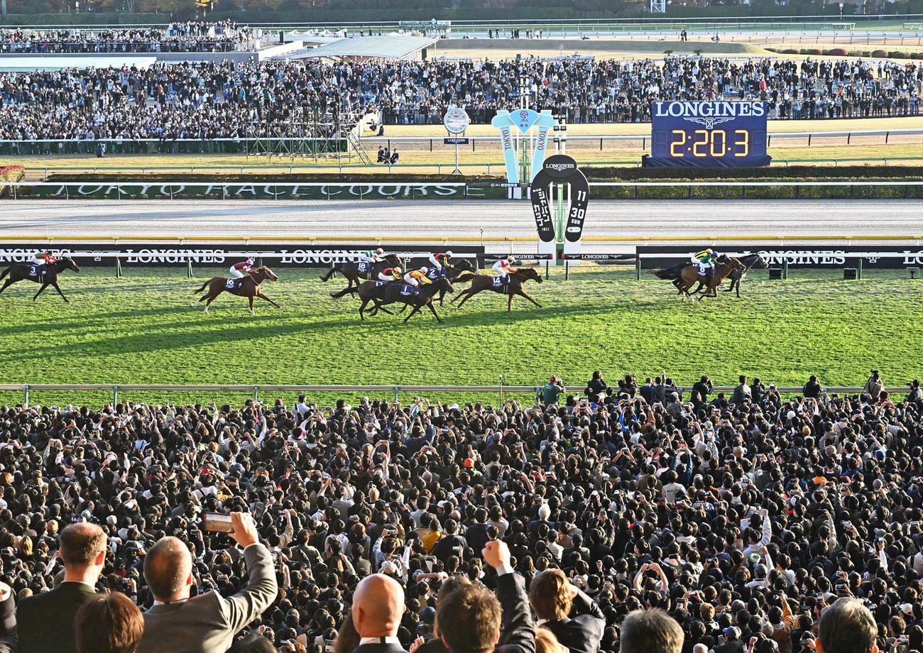 カランダガンが制したジャパンC（撮影・千葉一成）