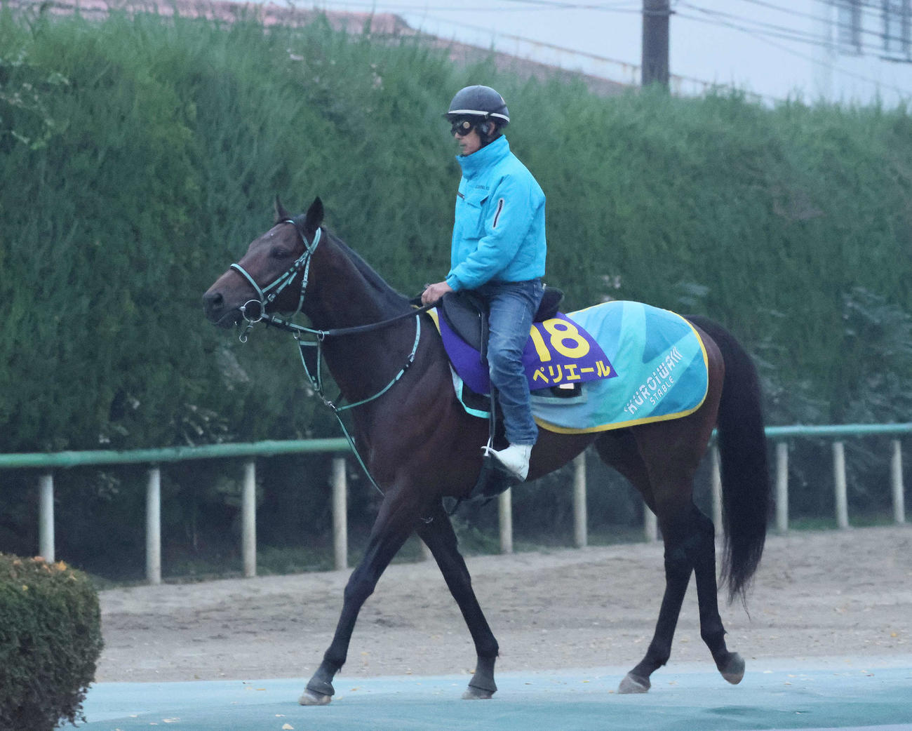 馬場へ向かうペリエール（撮影・丹羽敏通）