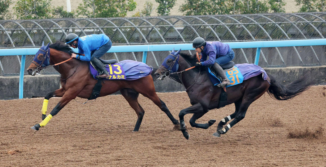 ナルカミ（左）は美浦ウッドでアッシュルバニパルと併せて追い切られた（撮影・丹羽敏通）